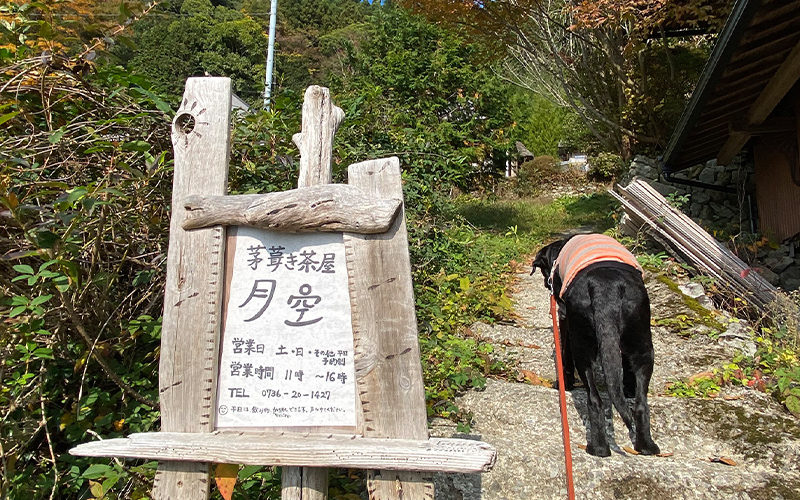 【行って来ました！】串柿の里・茅葺き茶屋 月空【犬と一緒にお散歩できる素敵な場所】
