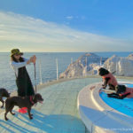 【エーゲ海みたい！】犬とお散歩できる素敵な場所【白崎海洋公園】