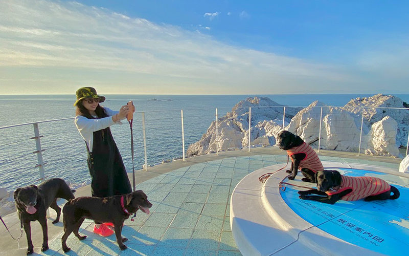 【エーゲ海みたい！】犬とお散歩できる素敵な場所【白崎海洋公園】