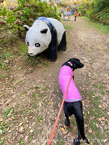 和歌山市市民の森　恐竜公園のパンダ