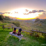 【夕陽が綺麗】犬とお散歩できる素敵な場所【下赤阪の棚田】