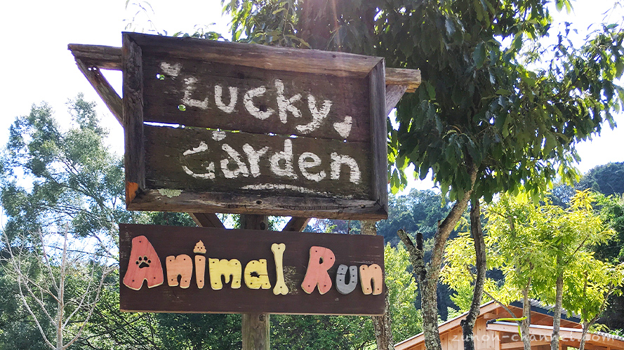 【スリランカ料理が美味しい】犬とお散歩できる素敵な場所【ラッキーガーデン】
