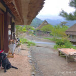 【日本の原風景】犬とお散歩できる素敵な場所【美山かやぶきの里】