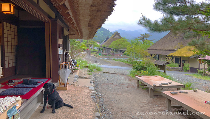 【日本の原風景】犬とお散歩できる素敵な場所【美山かやぶきの里】