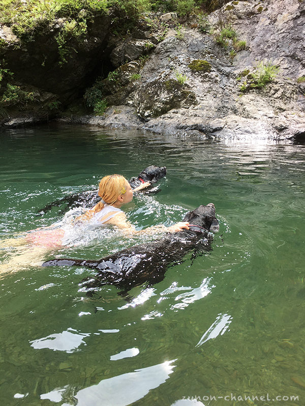天の川青少年旅行村で犬と泳ぐ