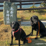 【和歌山市】犬と一緒に行ける素敵な場所【番所庭園（ばんどこていえん）】