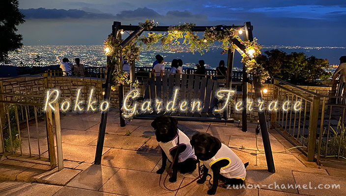 六甲ガーデンテラスの夜景をバックに記念撮影する犬