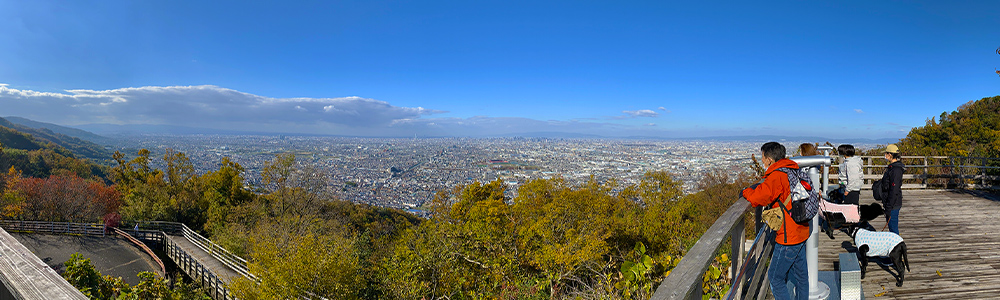 なるかわ園地　みはらし広場から見る大阪平野のパノラマ画像